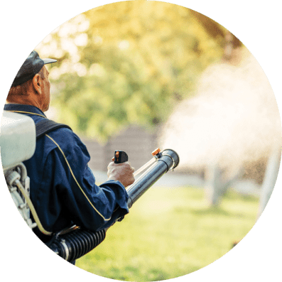 mosquito control system in houston